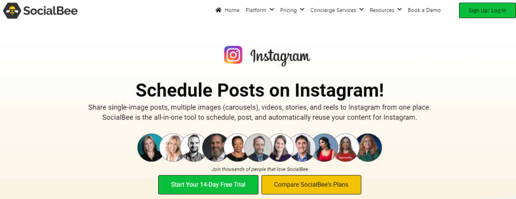 Social bee - Instagram marketing